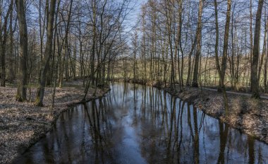 Bahar güneşli nehir Dolanky Köyü