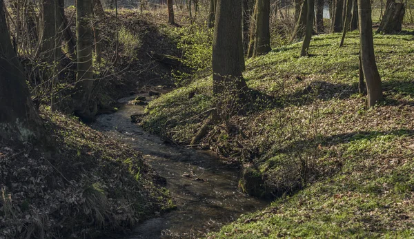 Jarní Slunečné creek v Dolanky vesnice — Stock fotografie