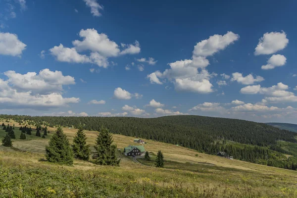 Zonnige zomerdag in Krkonose bergen — Stockfoto