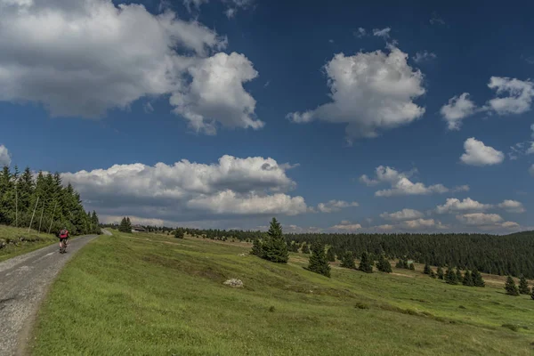 Сонячний літній день в горах Krkonose — стокове фото