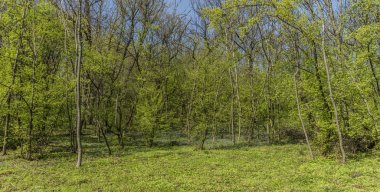 E alan Klentnice Köyü yakınındaki bahar