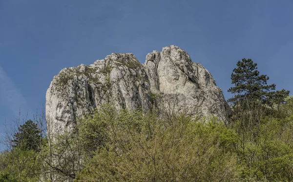 Primavera cerca de Klentnice pueblo en la zona de Palava — Foto de Stock