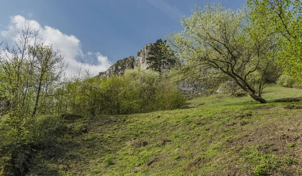 Primavera perto da aldeia de Klentnice na área de Palava — Fotografia de Stock