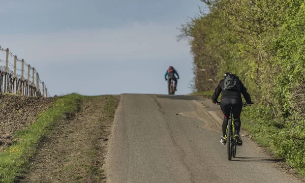 Cyklisté ve svahu nedaleko obce Strachotín a Popice — Stock fotografie