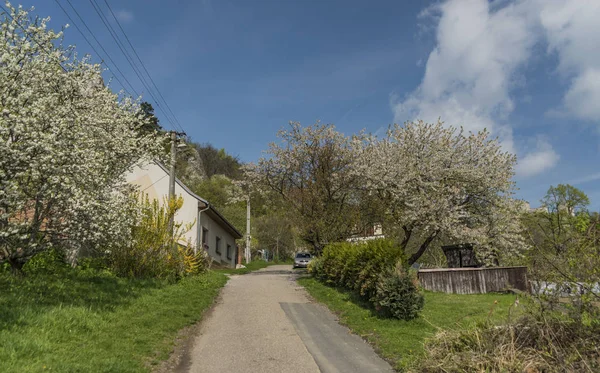 Primavera cerca de Klentnice pueblo en la zona de Palava —  Fotos de Stock