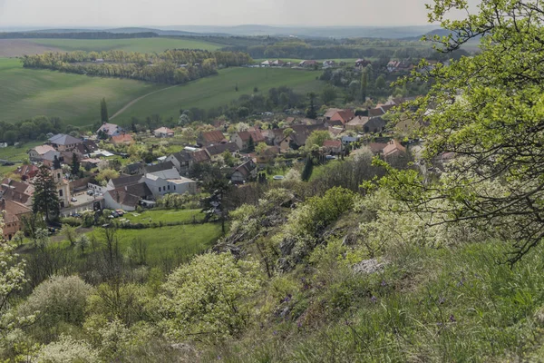 在 Palava 地区的 Klentnice 村庄附近春 — 图库照片