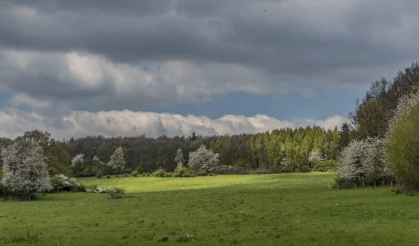 Groene bewolkte dag in Ceske Stredohori bergen — Stockfoto