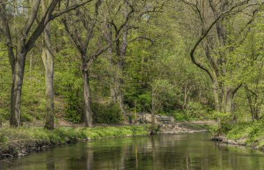 Bahar günü Stadice köyü yakınlarında nehir Bilina