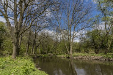 Bahar günü Stadice köyü yakınlarında nehir Bilina