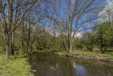 Bahar günü Stadice köyü yakınlarında nehir Bilina