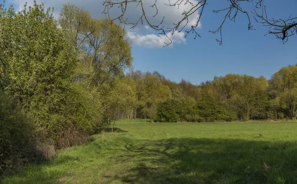 Grön himmel dag i Ceske Stredohori berg — Stockfoto