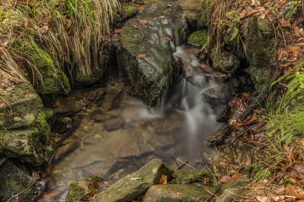 Creek in spring color forest in north Bohemia — Stock Photo, Image