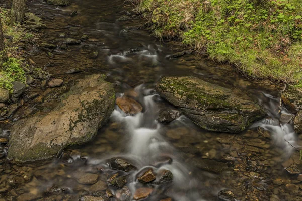 Creek na floresta de cor primavera no norte da Boêmia — Fotografia de Stock