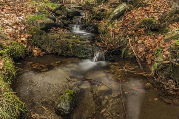 Creek na floresta de cor primavera no norte da Boêmia — Fotografia de Stock