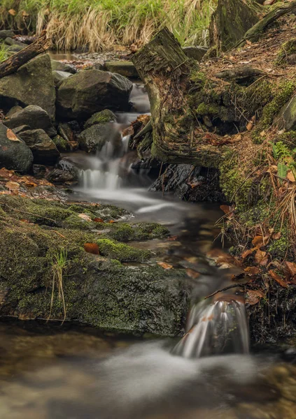 Creek na jaře barva lesa na severu Čech — Stock fotografie