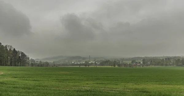 Giorno di nebbia con campo verde vicino al villaggio Dolni Podluzi — Foto Stock