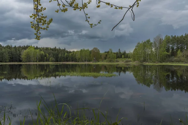 Pond in south Bohemia named Zdarsky — Stock Photo, Image