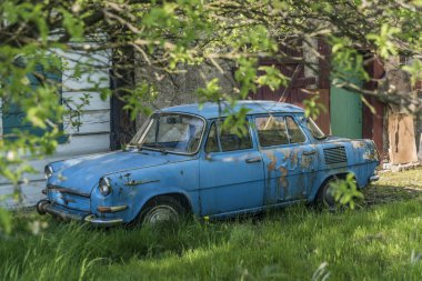 Yeşil bahçede mavi eski araba