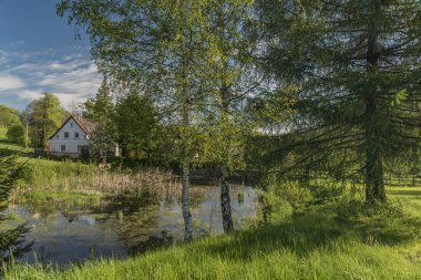 Jiretin pod bahar güneşli sabah köyde Jedlovou