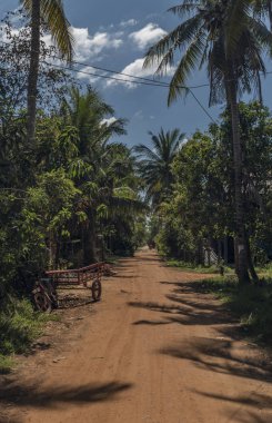 Kamboçya Siem Reap köy sokakta