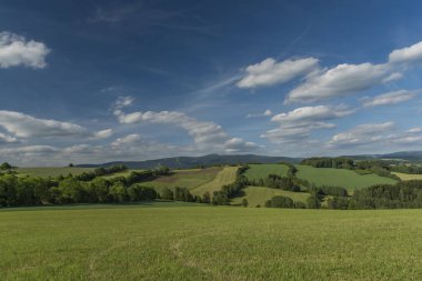 Alanlar ve Roprachtice Köyü yakınındaki çayır