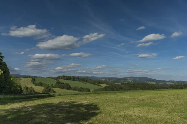 Felder und Wiesen in der Nähe von roprachtice Dorf — Stockfoto