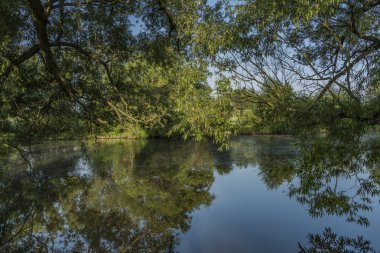 Gölet yakınındaki turuncu gündoğumu ile göster