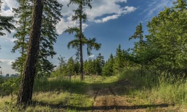 Güneşli yolu Dacice ve Trebetice kasaba yakınlarında
