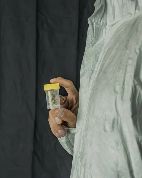 Marihuana medicinal en caja de plástico transparente en las manos —  Fotos de Stock
