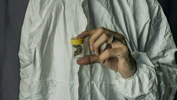 Marihuana medicinal en caja de plástico transparente en las manos —  Fotos de Stock