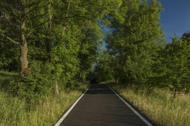 Ceske Stredohori dağlar güneşli yolu ile akşamları