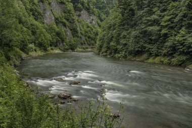 Yaz aylarında Dunajec Nehri üzerinde beyaz dalgalar