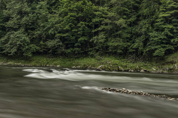 White waves on Dunajec river in summer