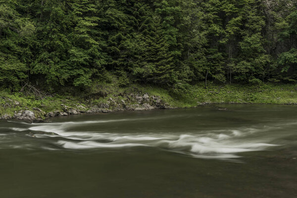 White waves on Dunajec river in summer