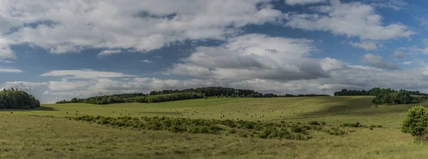 Campos con heno en las montañas Ceske Stredohori —  Fotos de Stock