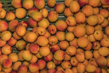 Renk güzel kayısı kurutma önce