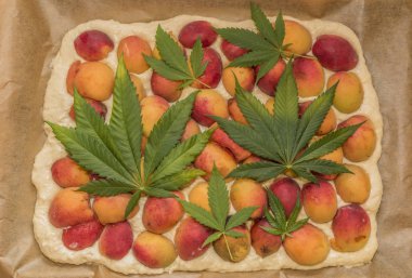 Esrar kayısı pasta pişirme önce