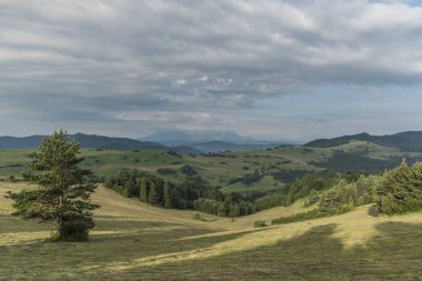 Çayırlar üzerinde yaz sabahı köyde Lesnica