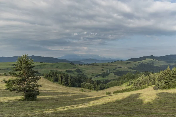 Çayırlar üzerinde yaz sabahı köyde Lesnica
