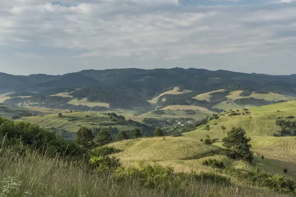 Çayırlar üzerinde yaz sabahı köyde Lesnica