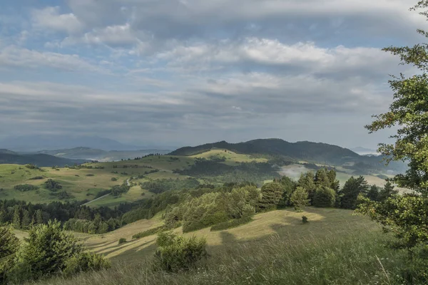 Çayırlar üzerinde yaz sabahı köyde Lesnica
