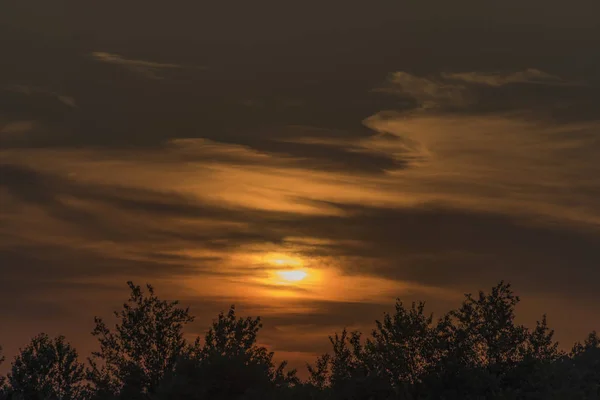 Apus de soare peste copaci lângă satul Lukov — Fotografie, imagine de stoc