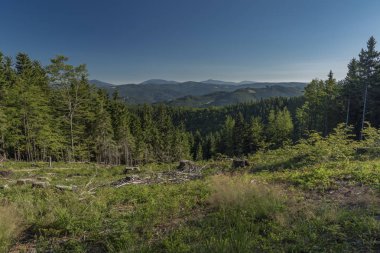 Ormanlar Velky Javornik tepenin altında