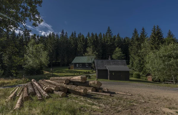 Bossen onder Velky Javornik hill — Stockfoto