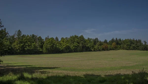 Zelená louka v jižních Čechách se slunečním — Stock fotografie