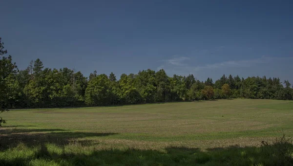 Pradera verde en el sur de Bohemia con luz solar — Foto de Stock