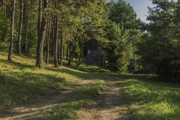 Path under Velky Choc hill in Slovakia — Stock Photo, Image