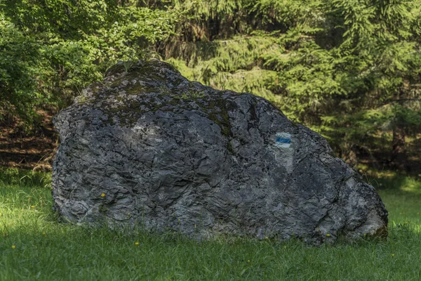 Sabah çayır üzerinde Ruzomberok town yakınındaki taş — Stok fotoğraf