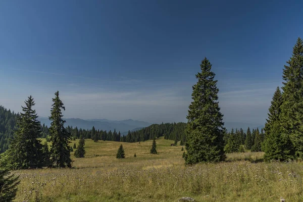 Łąka pod wzgórzem Velky Choc w północnej Słowacji, w lecie — Zdjęcie stockowe
