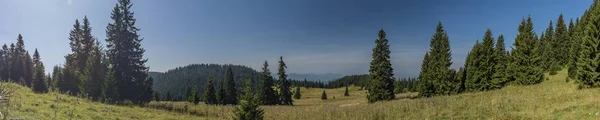 Louka pod vrchem Veľký Choč v severním Slovensku v létě — Stock fotografie